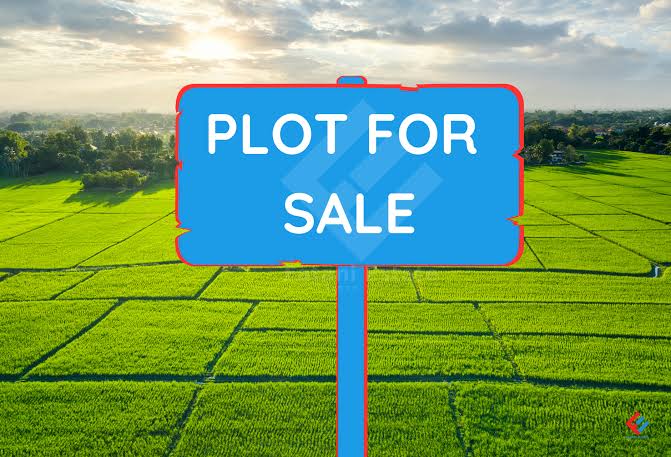 Photo of Land for sale in Rajnandgao bakal sation